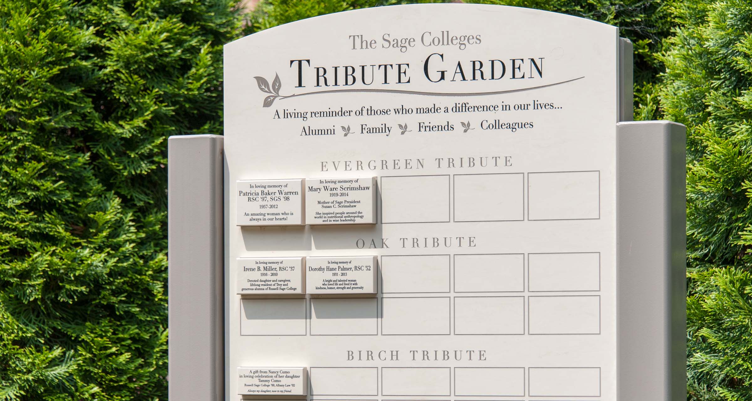 Tribute essay format