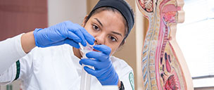 The School of Health Sciences