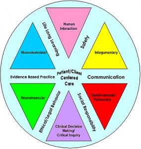 DPT Curricular Model
