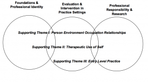 Occupational Therapy Curriculum Graphic