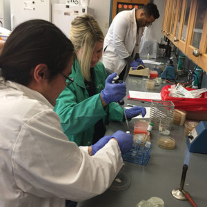 Student Members of EPA Grant Team in Lab