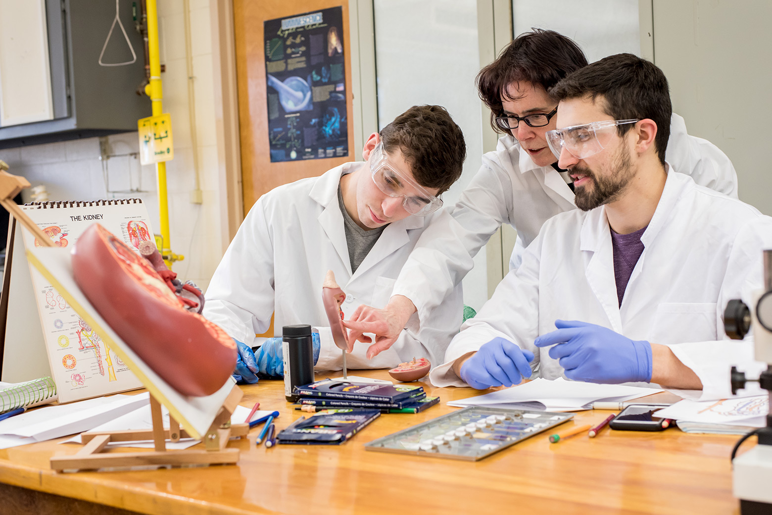 Faculty - Health Science