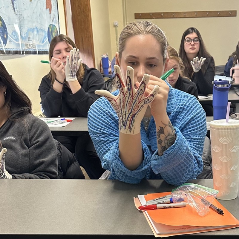 Occupational Therapy Hand Classroom