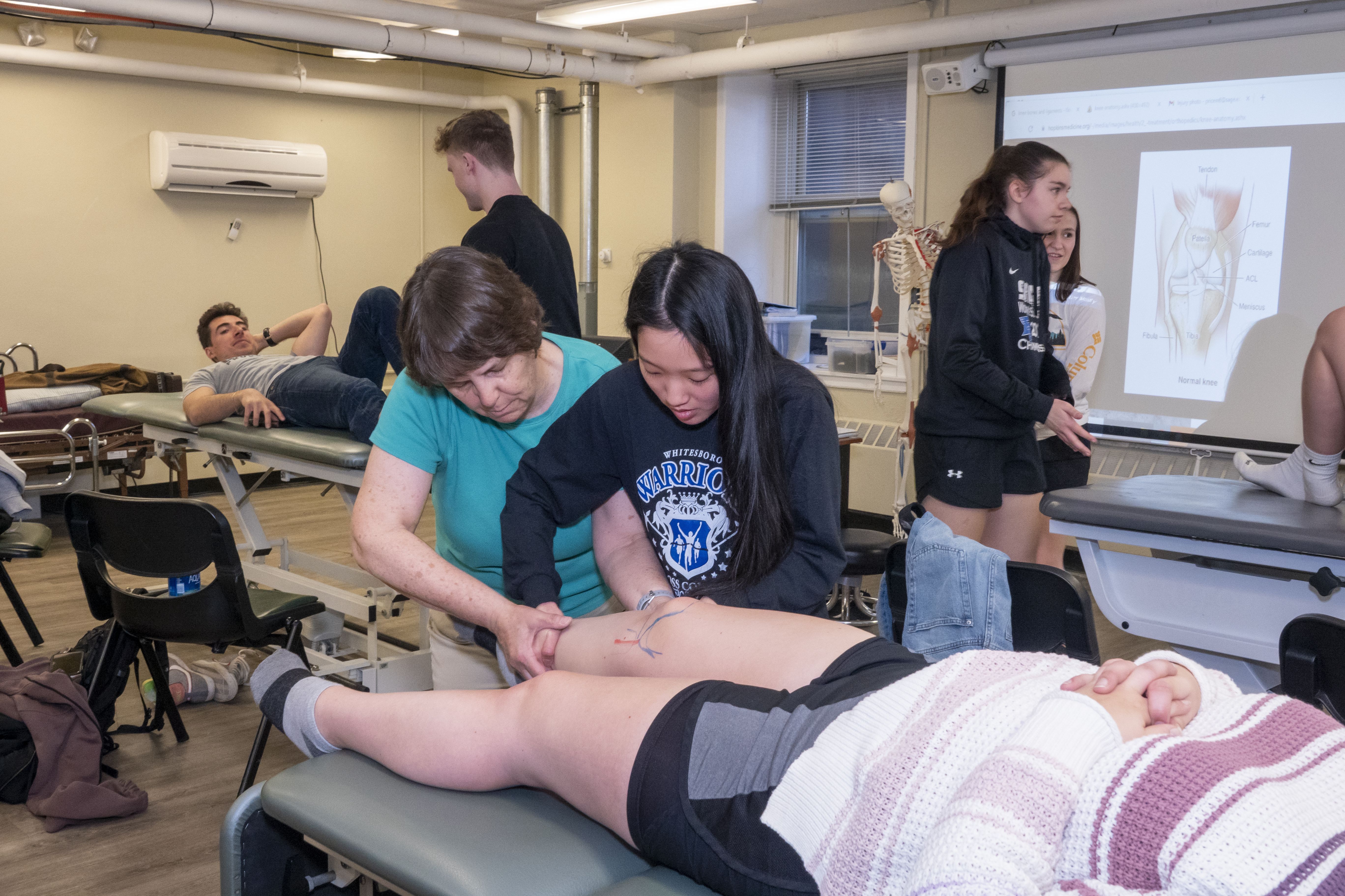 Comparing Traditional vs. Accelerated Occupational Therapy Programs: Making an Informed Choice 