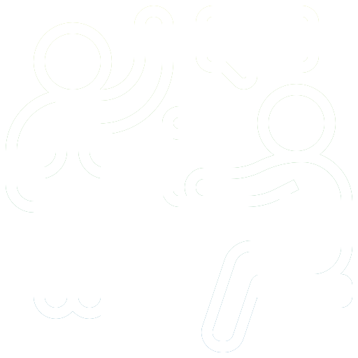 Academic Support