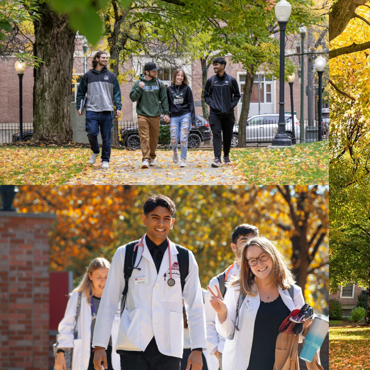 Russell Sage and Albany College of Pharmacy and Health Services Campus Photos