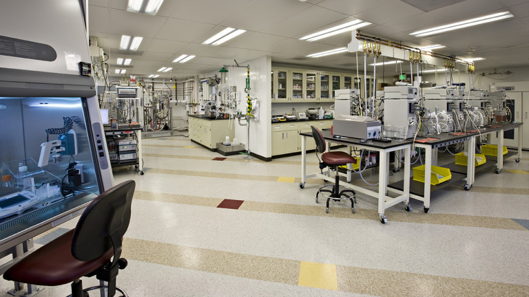 A clean, well-organized laboratory with workstations, scientific equipment, and a blue-illuminated fume hood