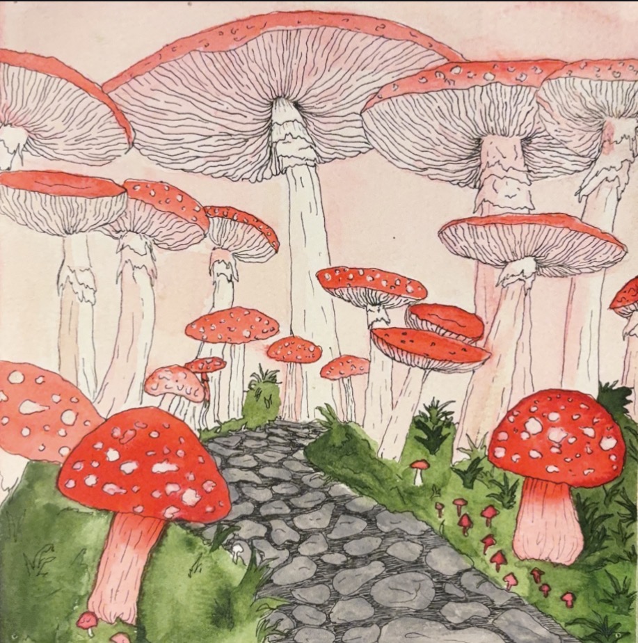 Wonderland by Veronica Sinnott